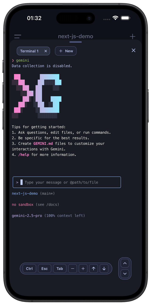 Gemini-cli